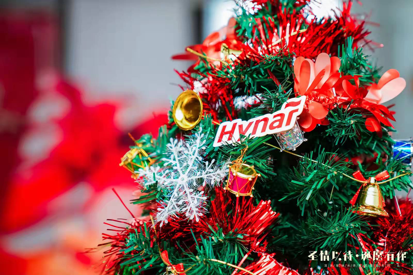 yl6809永利(中国游)官方网站