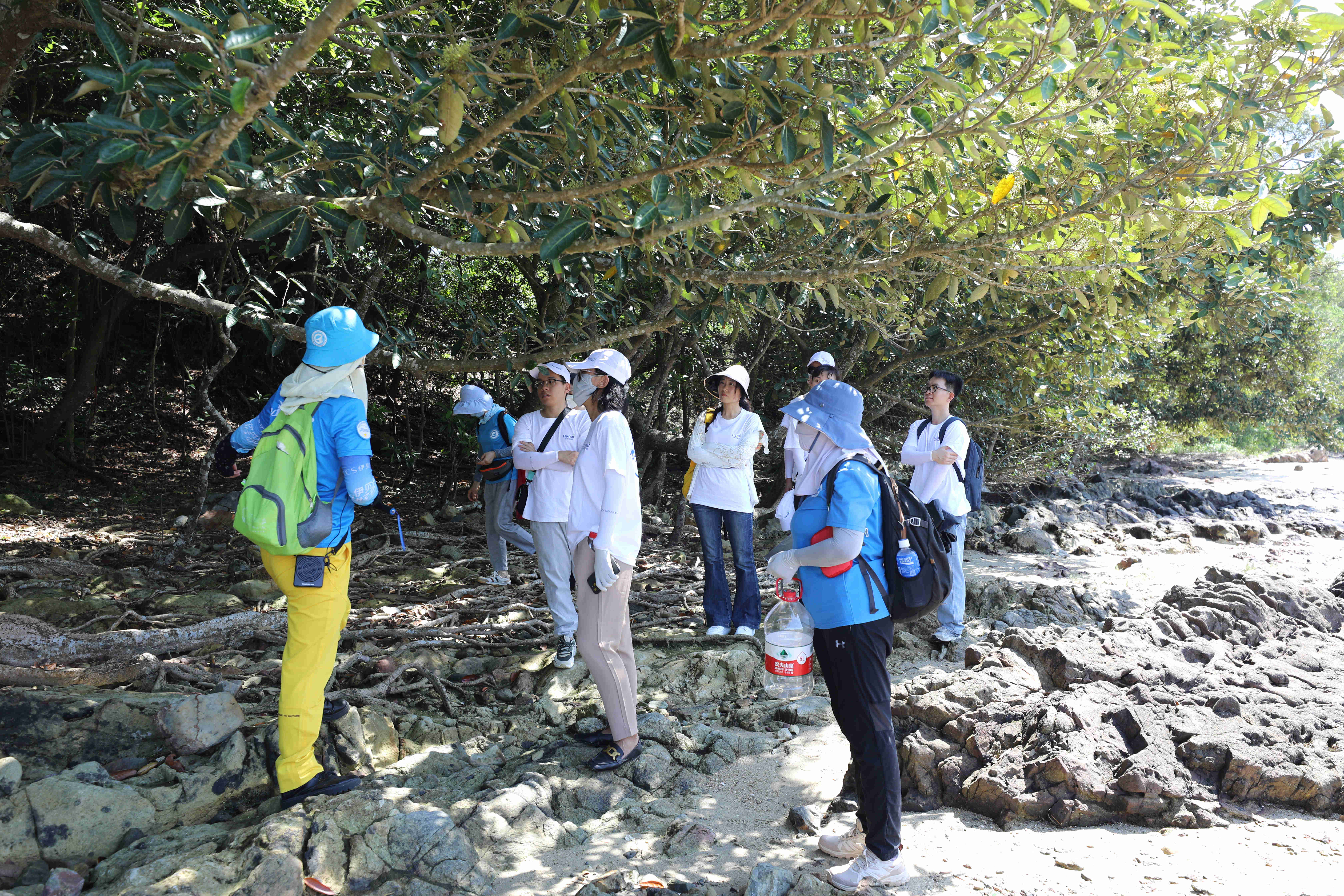 yl6809永利(中国游)官方网站