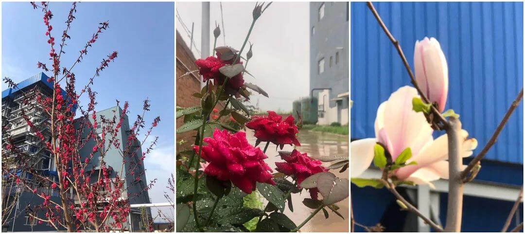 yl6809永利(中国游)官方网站